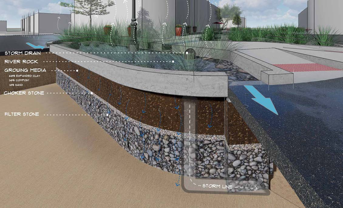 Illustration of a rain garden which is part of the project.